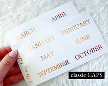 Rose gold foil months- clear stickers