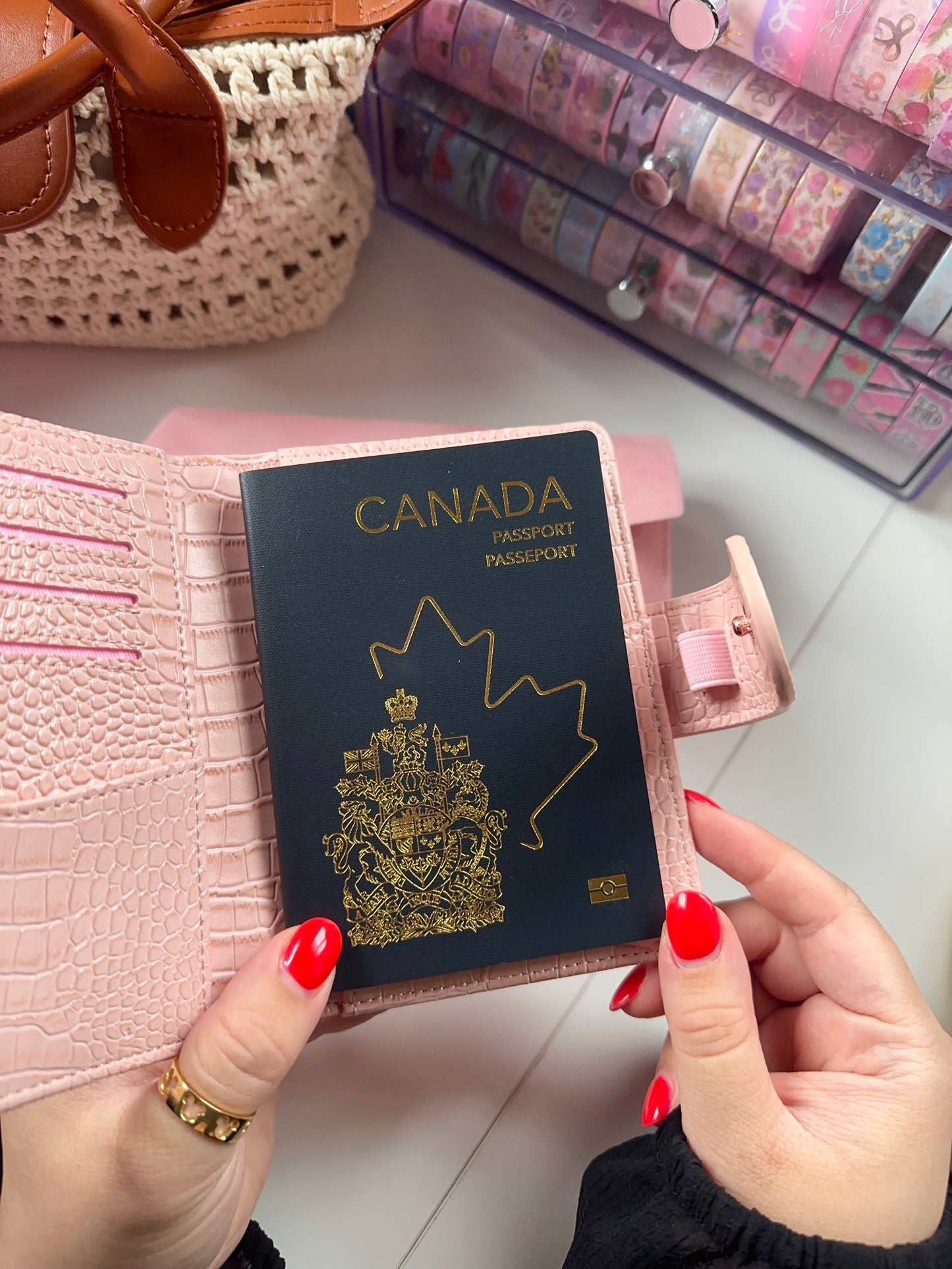PARIS PINK CROC Passport Planner